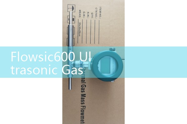 Flowsic600 Ultrasonic Gas Flow Meter Manual: High-Accuracy Custody Transfer for Natural Gas Utilities